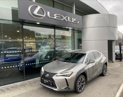 Lexus UX 250h