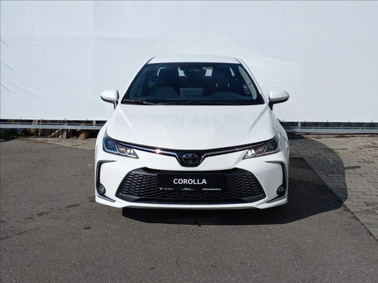 Corolla foto