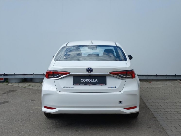 Corolla foto